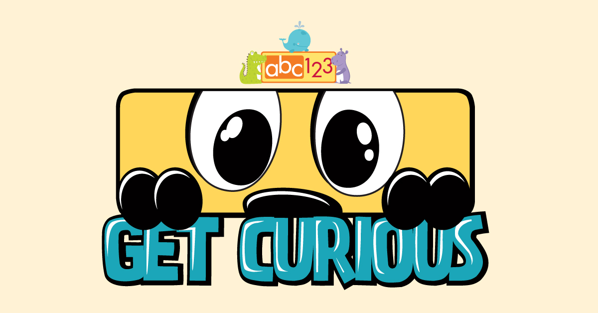 Get Curious at the County Library