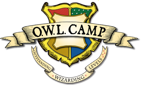 O.W.L. Camp Outstanding Wizarding Levels