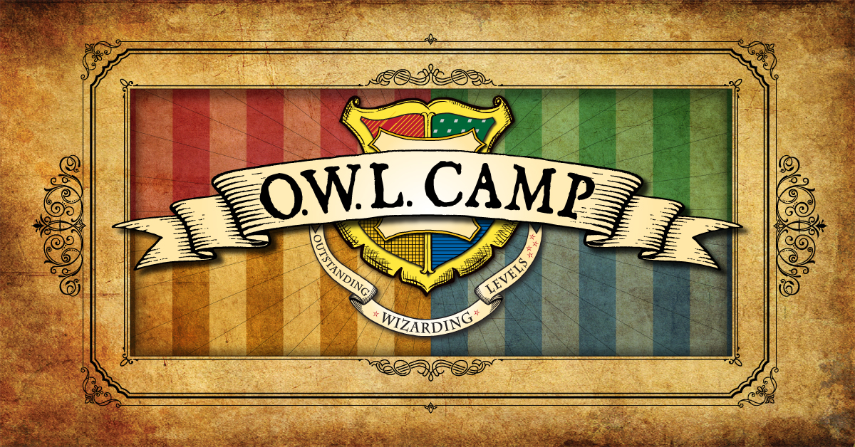 OWL Camp at the County Library