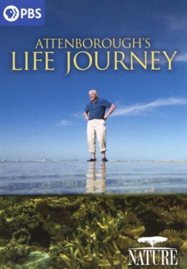 Attenborough's Life Journey