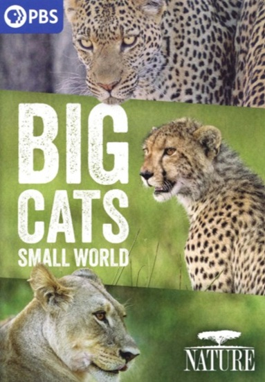 Big Cats, Small World