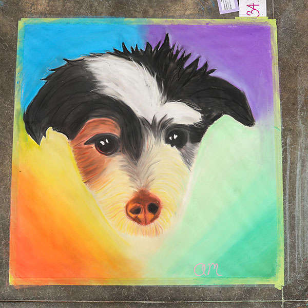 Portrait of a Dog